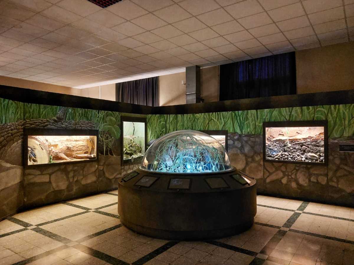 Museo Civico di Zoologia di Roma