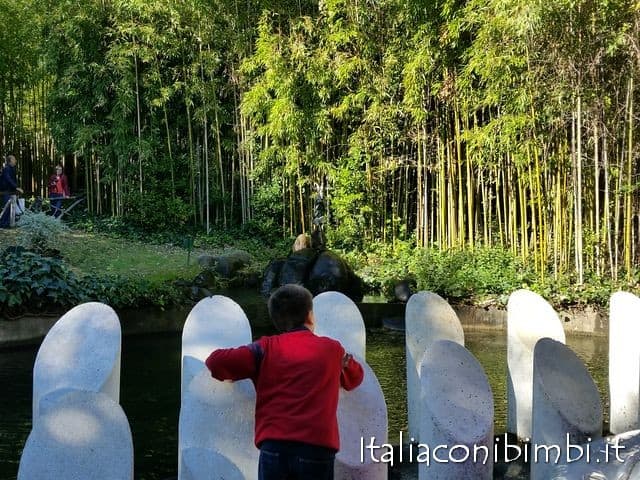 i-denti-del-pescecane