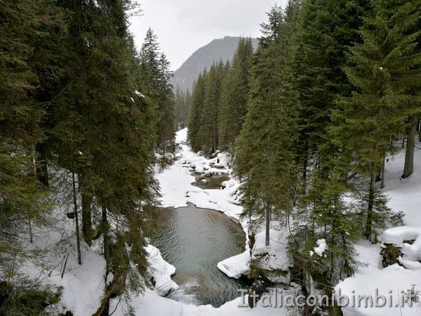 laghetto-con-la-neve-nel-Parco-anturale-Paneveggio-Pale-di-San-Martino
