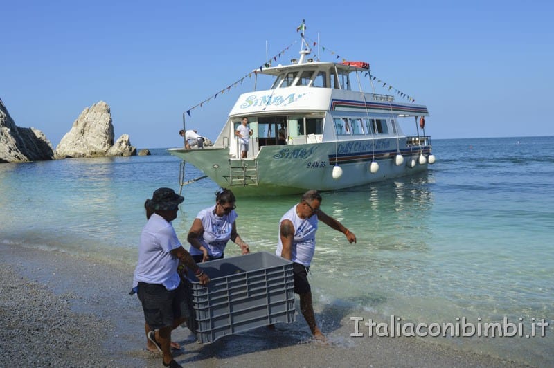 Rilascio della tartaruga - trasporto della tartaruga sulla spiaggia