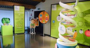 Padova - Musme museo della medicina