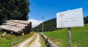 Sentiero il Respiro degli alberi- insegna inizio percorso
