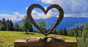 Sentiero dell'Immaginario Alpe Cimbra- cuore di legno a Malga Campo