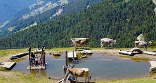 WoodyWalk sulla Plose- bimbi sulla zattera nel laghetto di Rossalm