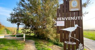San Benedetto del Tronto - Riserva naturale della Sentina