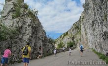 Trieste - strada napoleonica copertina