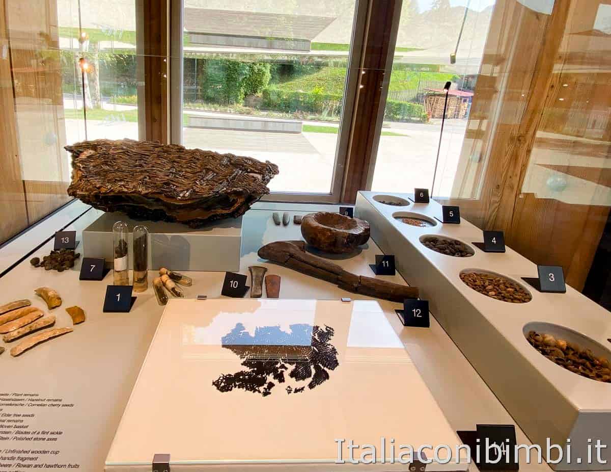 Museo delle Palafitte - Lago di Ledro - semi