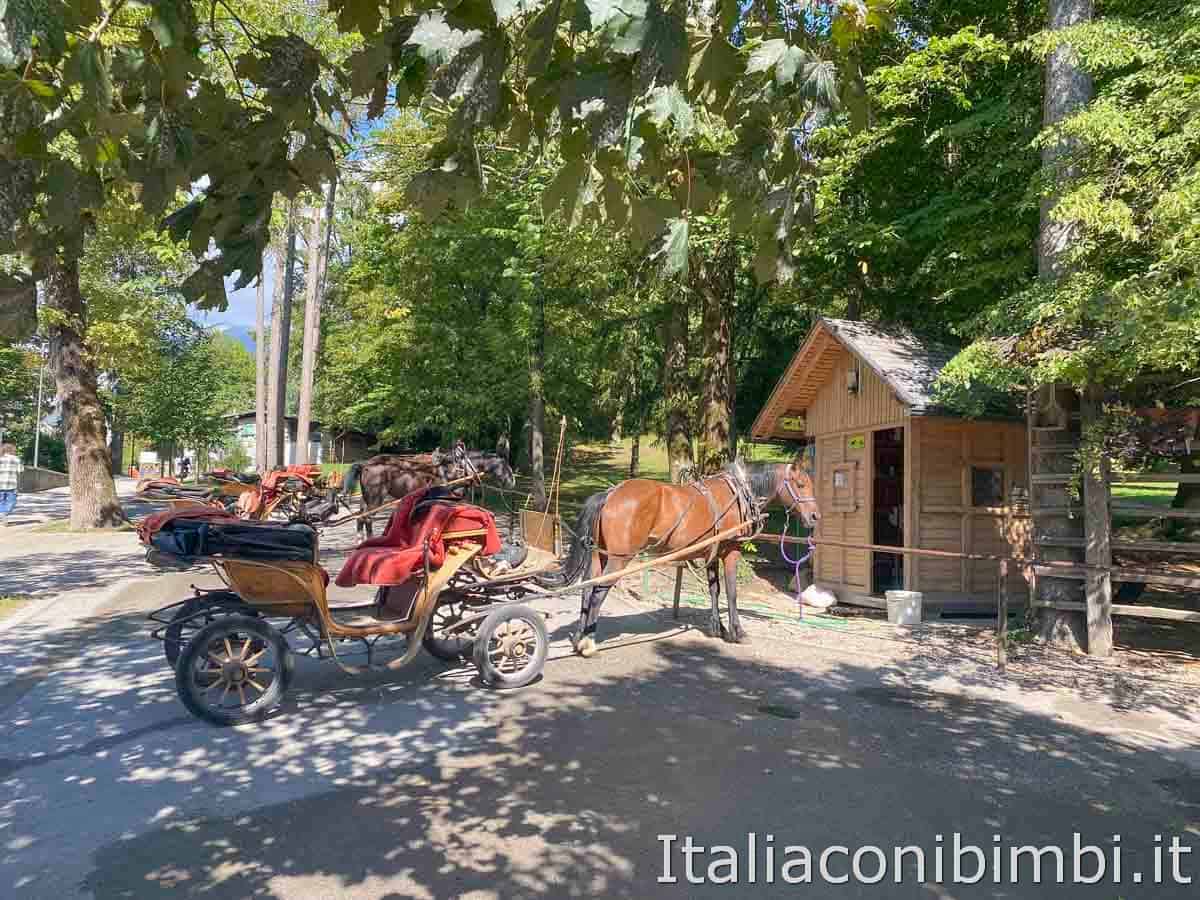 Lago di Bled - carrozze con il cavallo