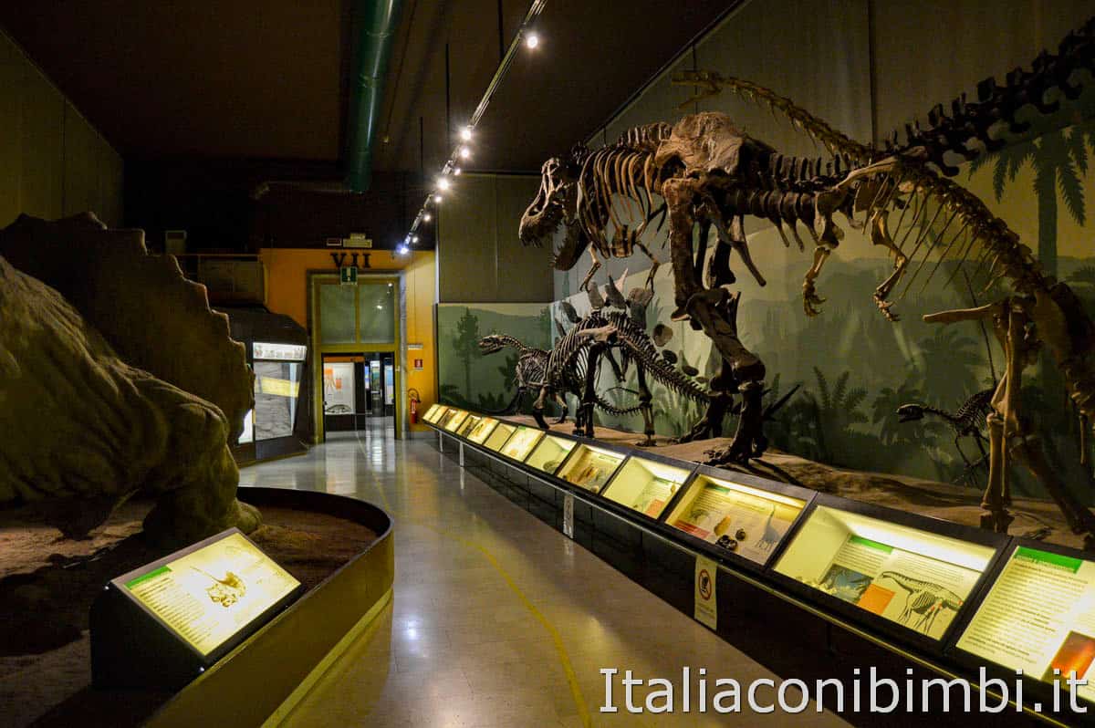 Museo di storia naturale - dinosauri