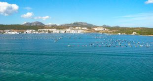 Sardegna - Porto di Olbia